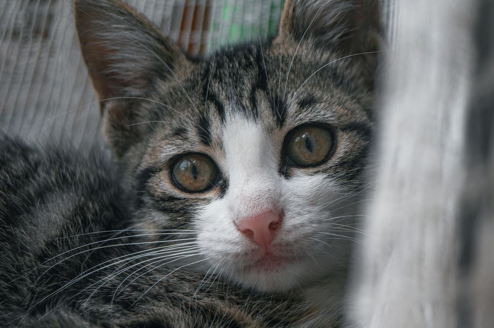 Photograph by Максим Гусаров