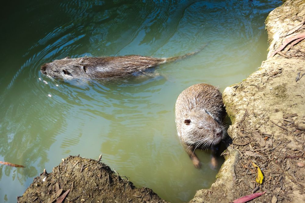 Фотография автора Валентина Рихмаер