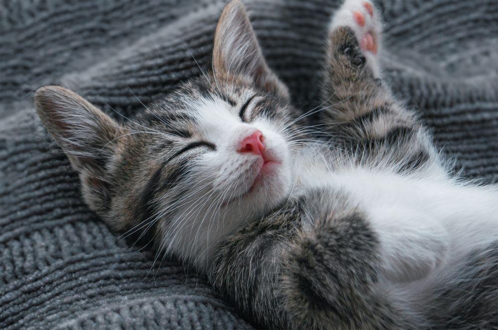 Photograph by Максим Гусаров