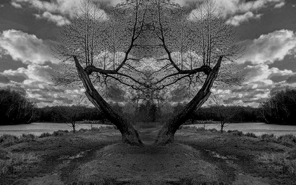 Фотография автора Дмитрий Нефёдов