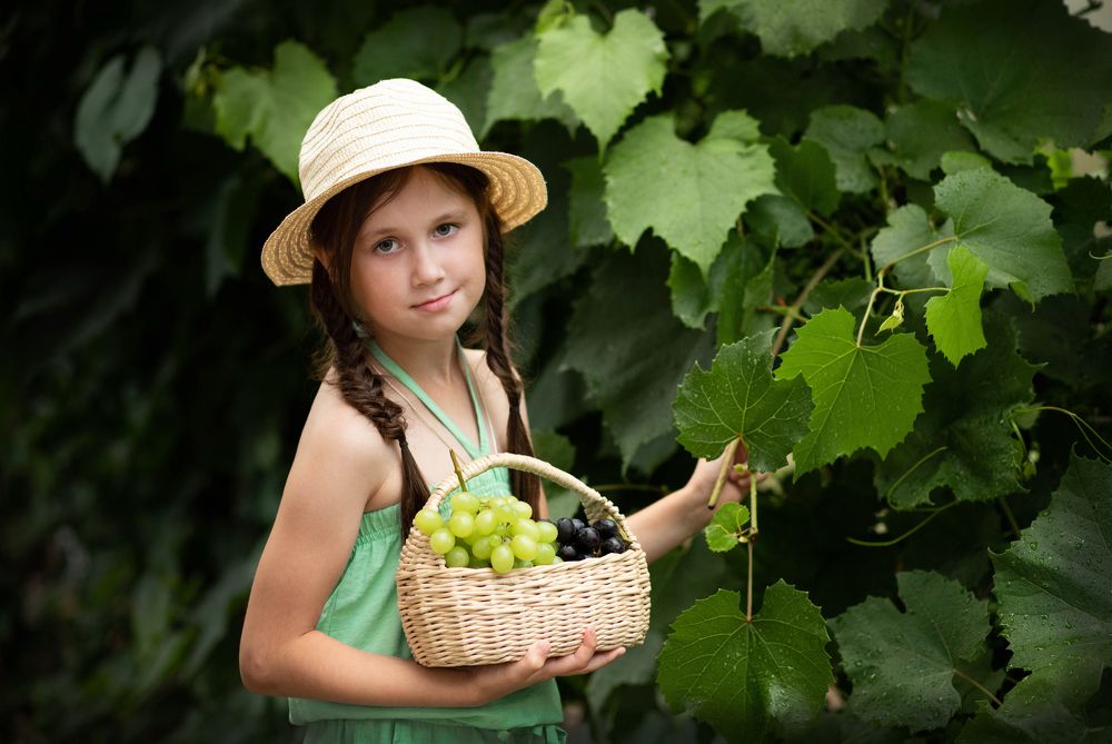 Photograph by Катерина