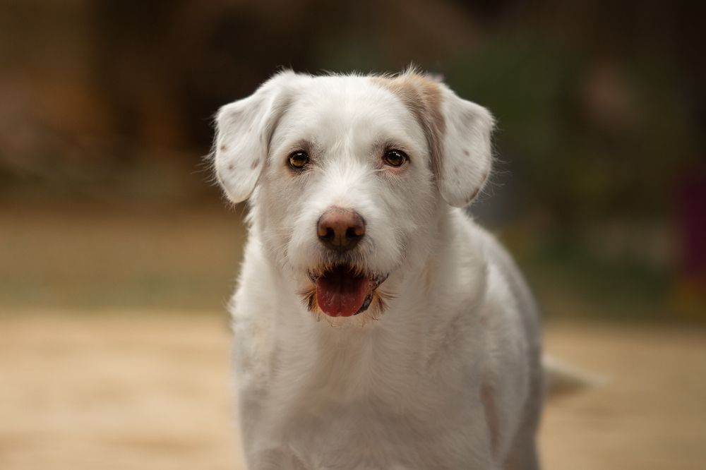 Photograph by Marcia Camargo