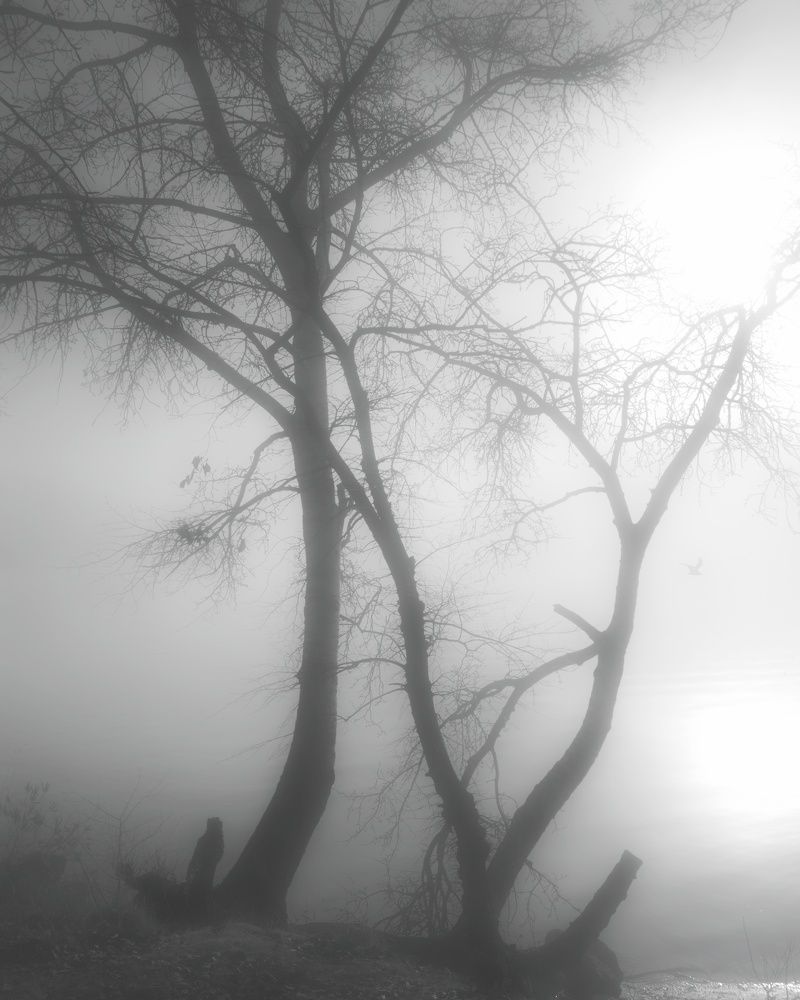 Photograph by Сергей Зуденко