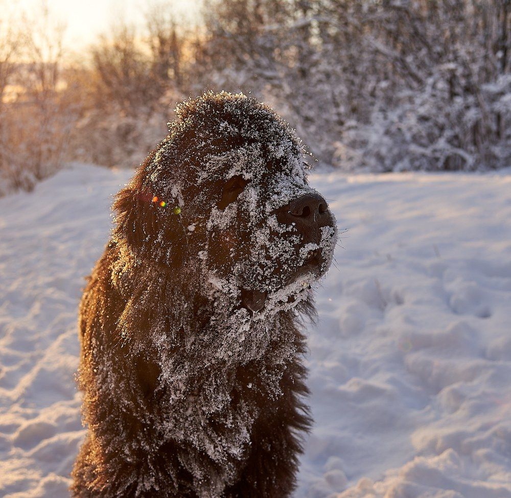 Photograph by Ксения Щербань