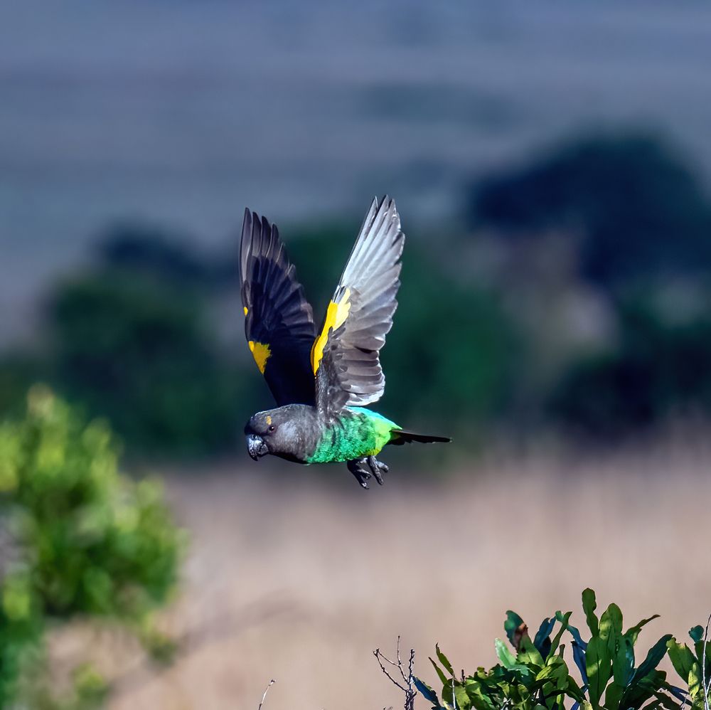 Фотография автора Sajeev Krishnan