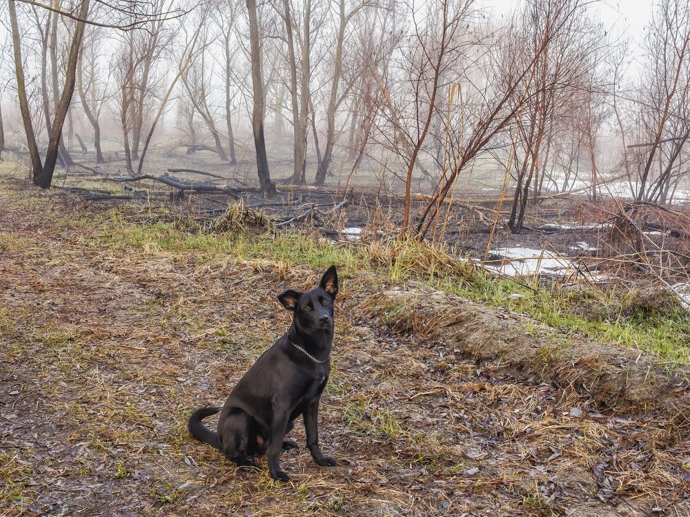 Не хочет, но позирует..