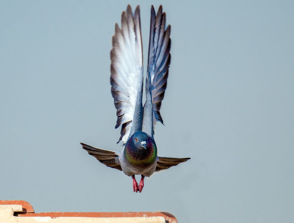 Фотография автора Sajeev Krishnan