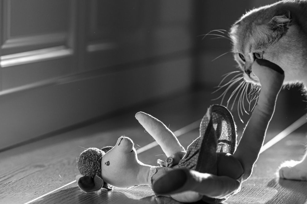 Photograph by Марина Лилеева