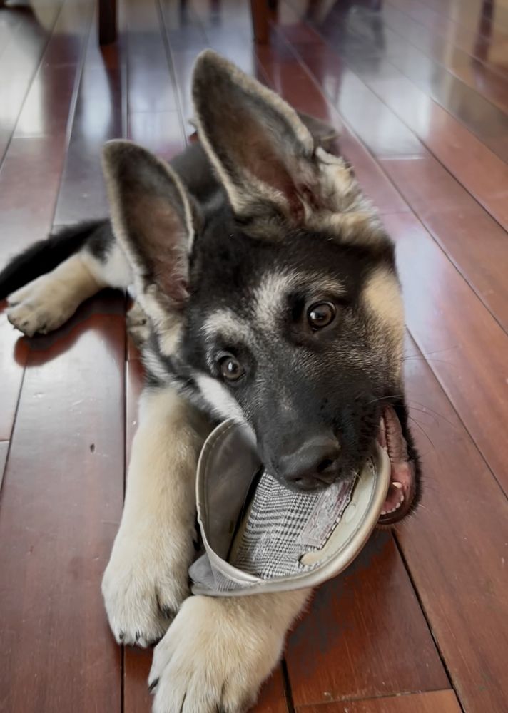 Фотография автора Maria Efremova