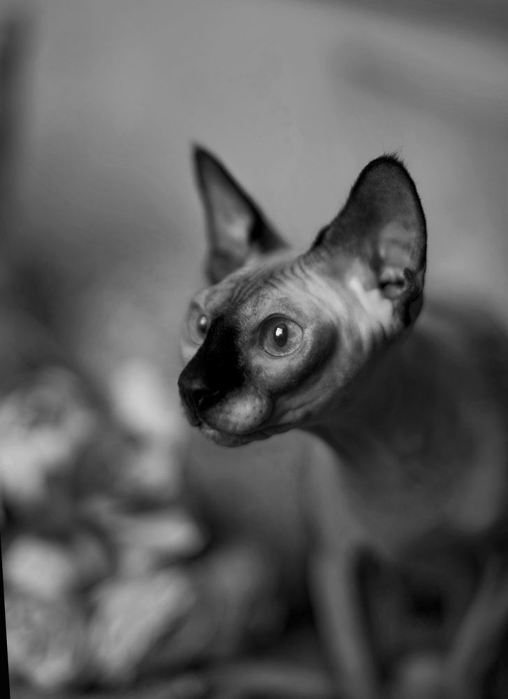 Photograph by Ксения Щербань