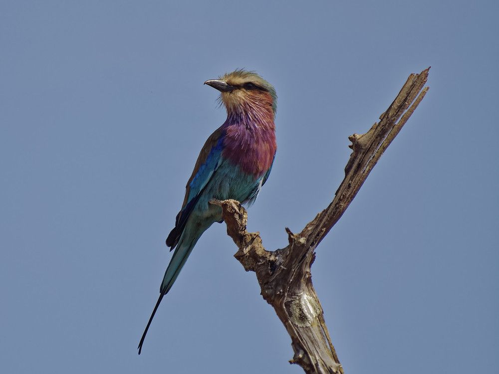 Photograph by Андрей Панин