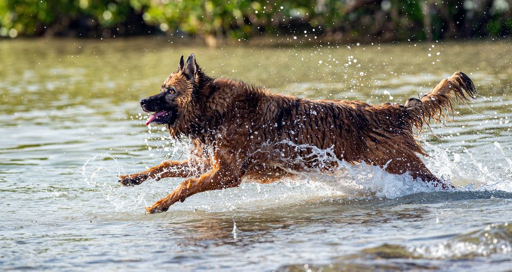 Фотография автора Sajeev Krishnan