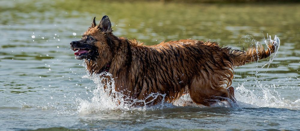 Фотография автора Sajeev Krishnan