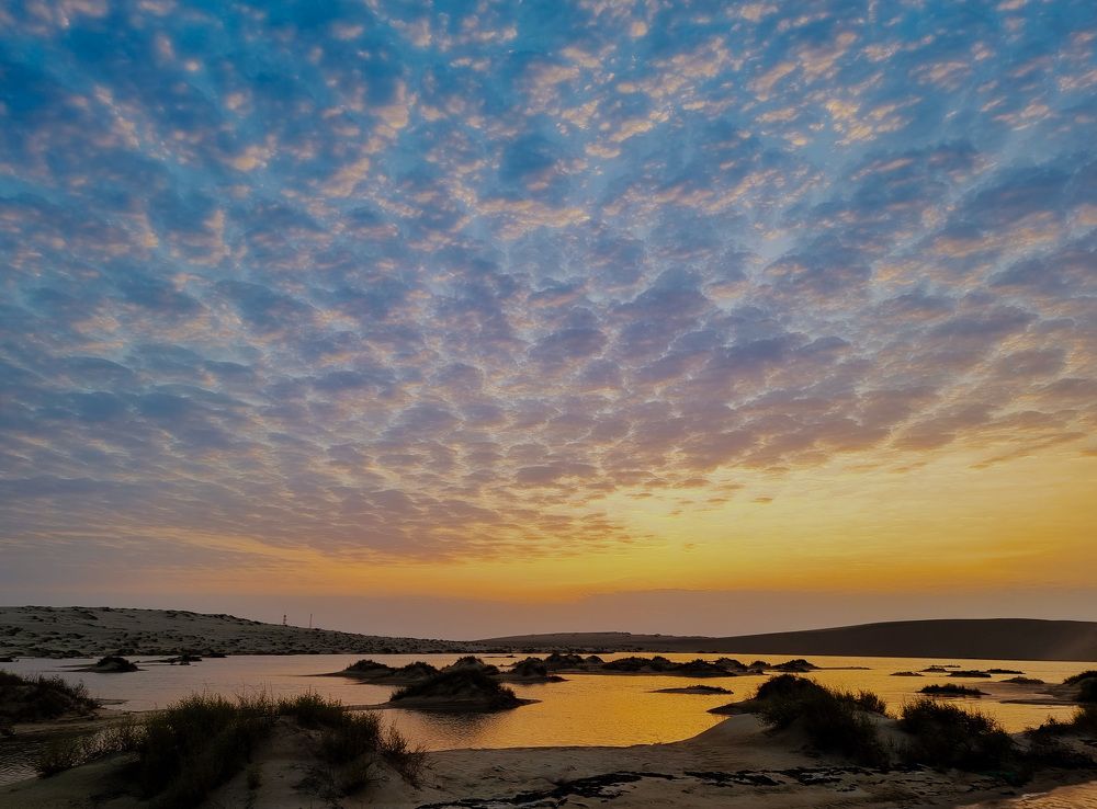 Фотография автора Sajeev Krishnan