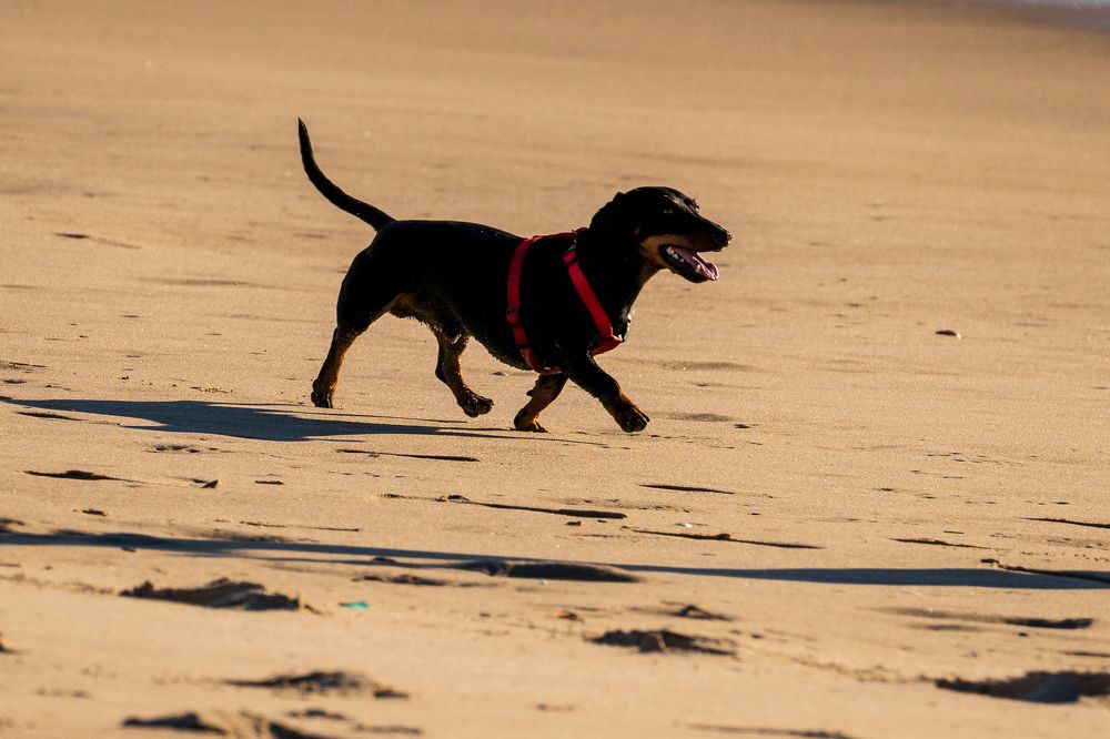 Фотография автора Patricia Machado