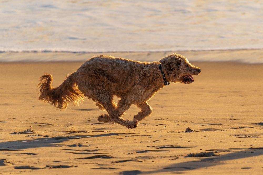 Фотография автора Patricia Machado