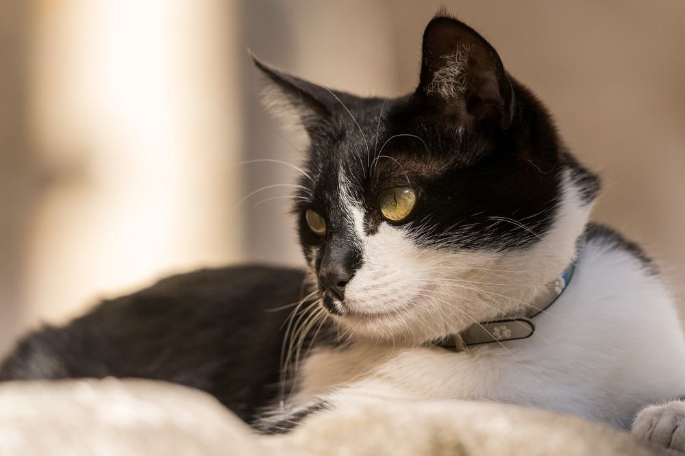 Фотография автора Patricia Machado