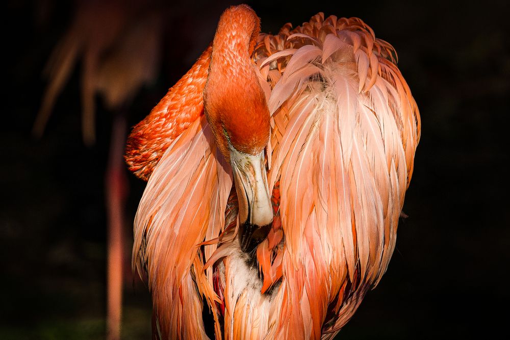 Фотография автора Patricia Machado