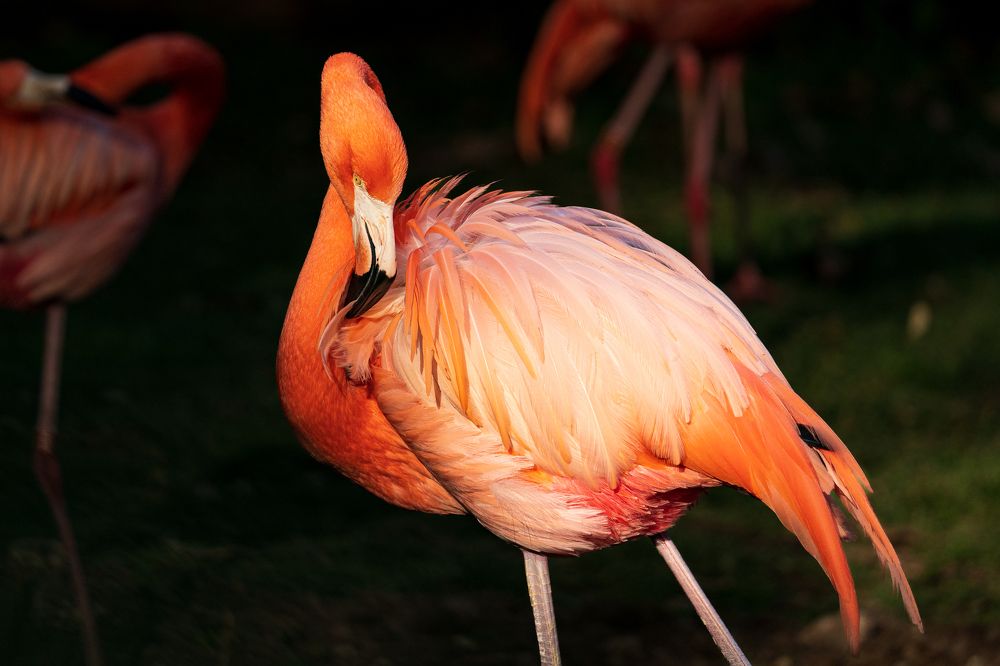 Фотография автора Patricia Machado