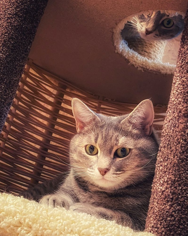 Мама и дочь