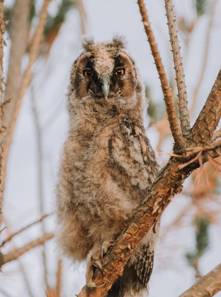 Photograph by Стоянова-Тимбукту Мария