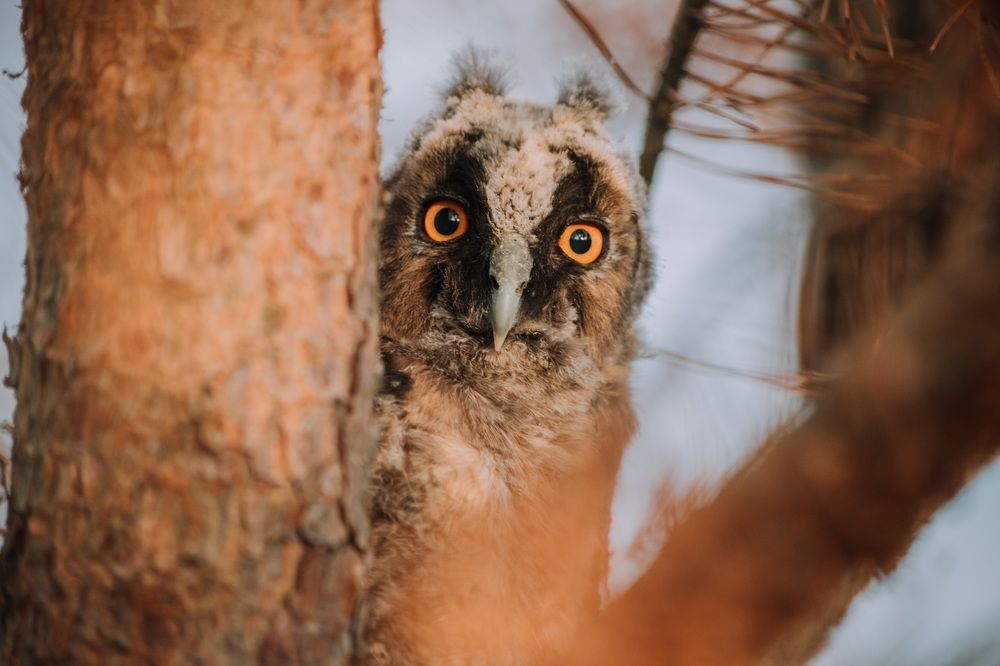 Photograph by Стоянова-Тимбукту Мария