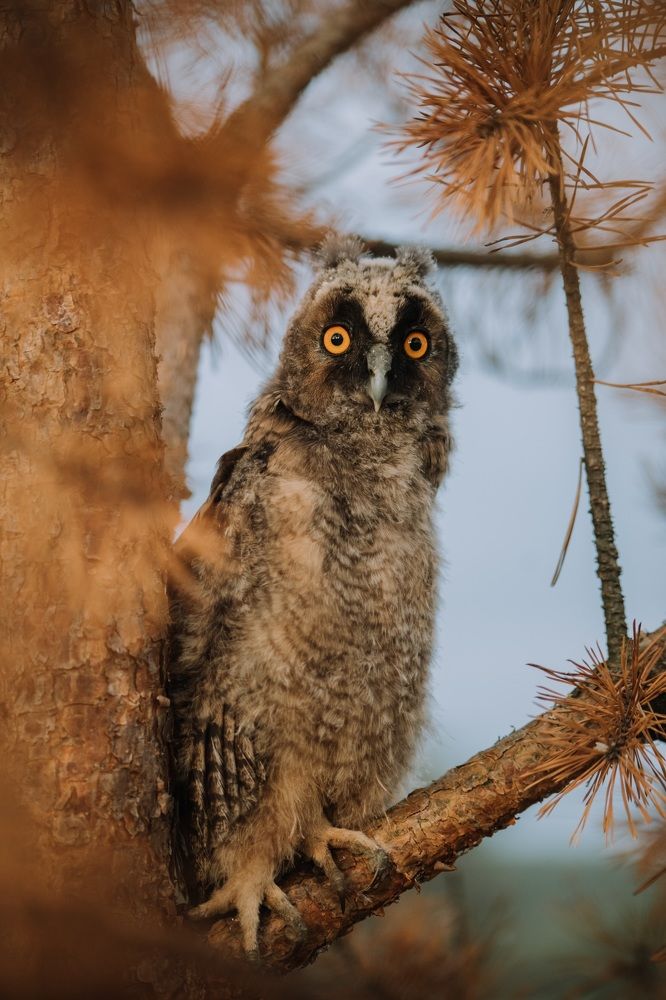 Photograph by Стоянова-Тимбукту Мария