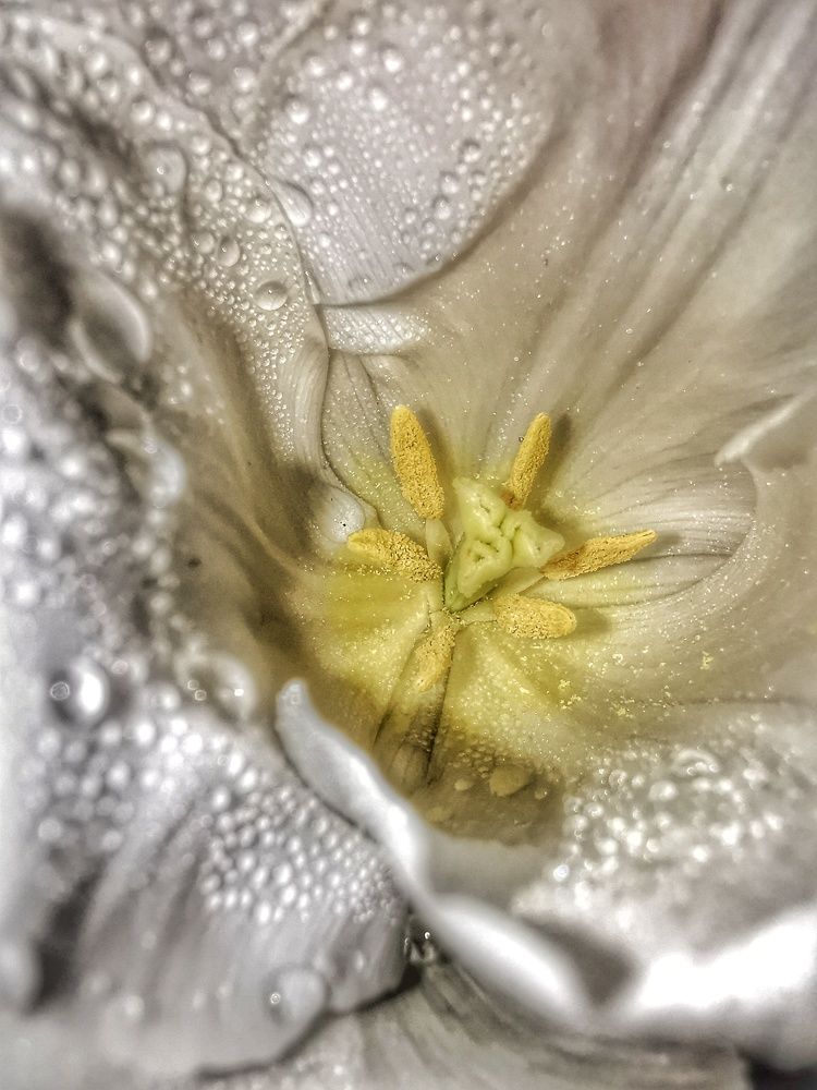 Photograph by Оксана Маракушина