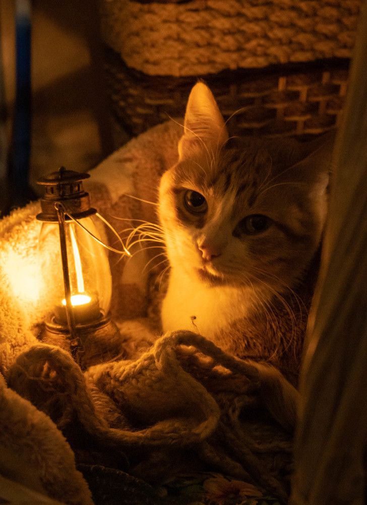 Фотография автора Оксана Белозерская