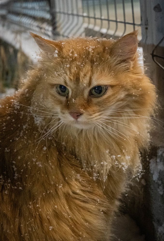 Фотография автора Оксана Белозерская