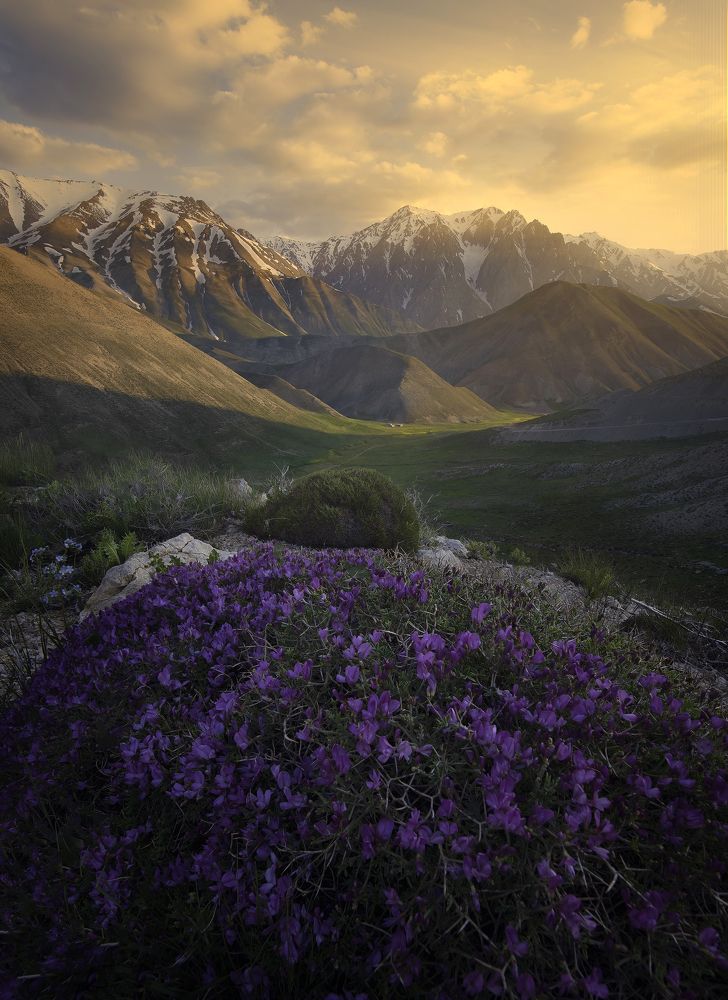 Photograph by saeed younesi