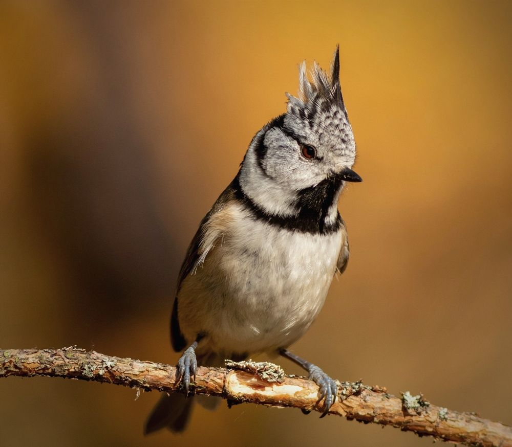 Photograph by Павел Краснослободцев