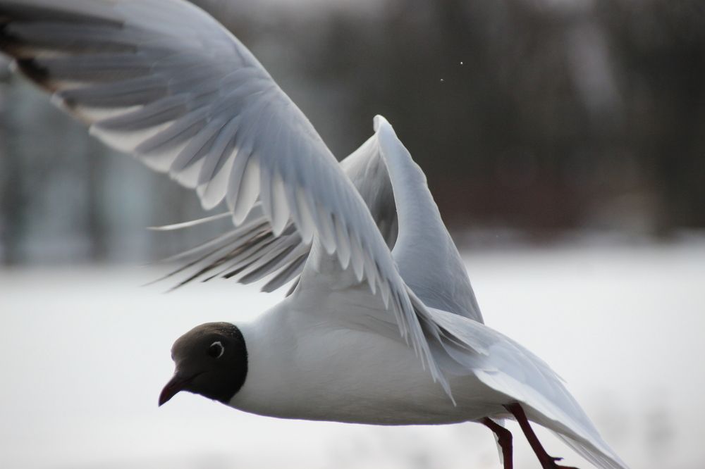 Photograph by Наталья Стальмакова