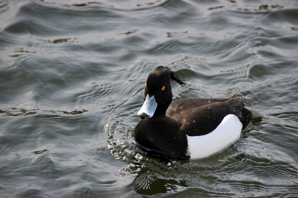 Photograph by Наталья Стальмакова