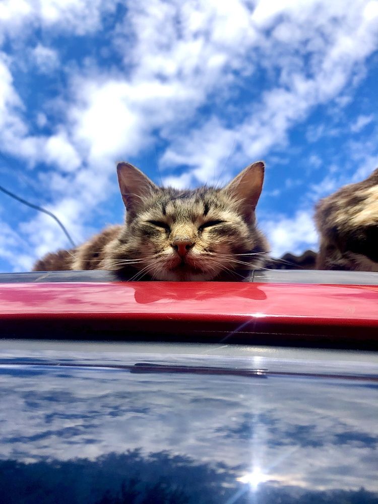 Photograph by Светлана Федяева