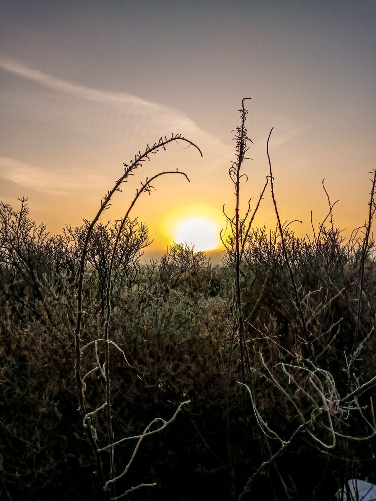 Фотография автора Michael Gault