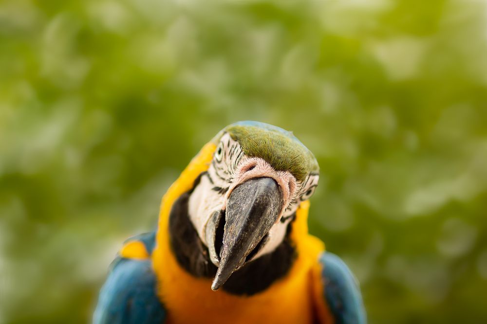 Photograph by Marcia Camargo