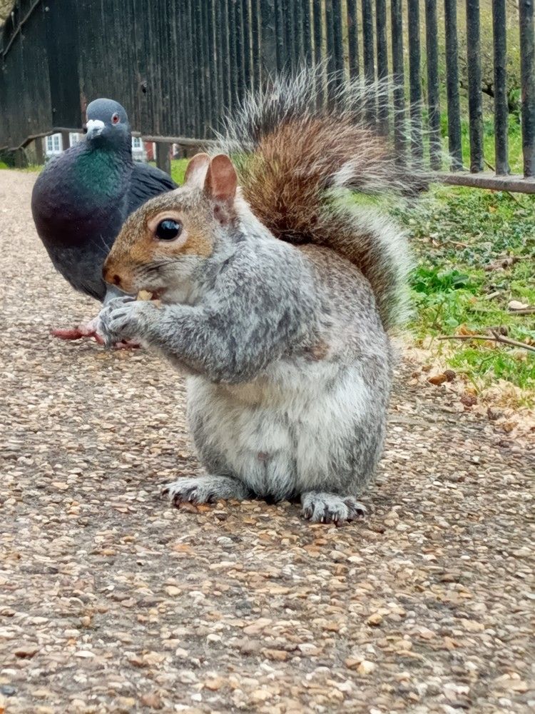 Фотография автора Michael Gault