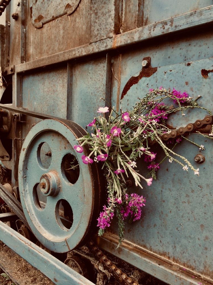 Life is the art of traveling with suffering.