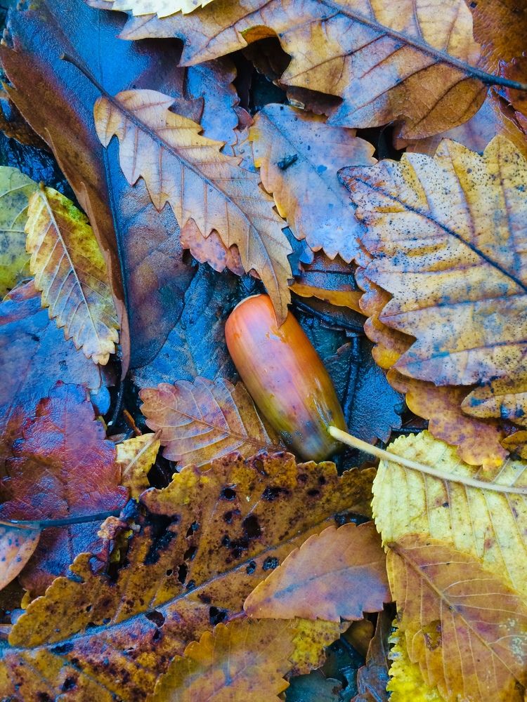 Photograph by hanie rashidi