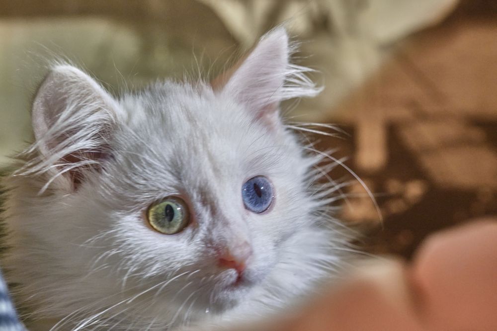 Photograph by Руслан Ибрагимов