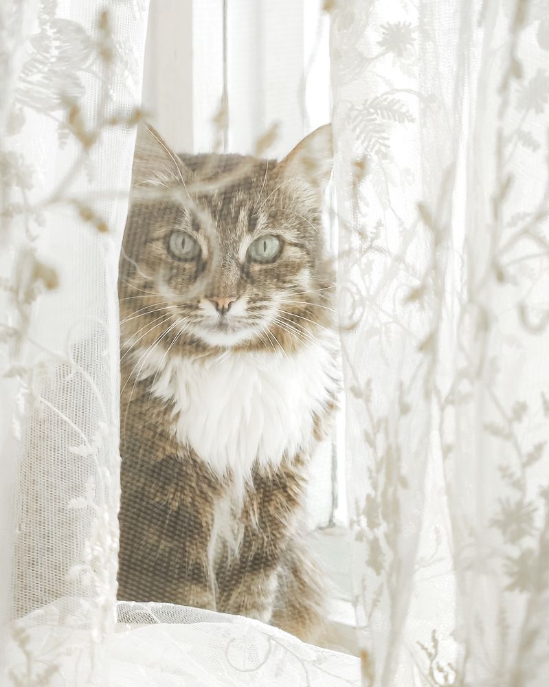 Photograph by Алеся Писнова