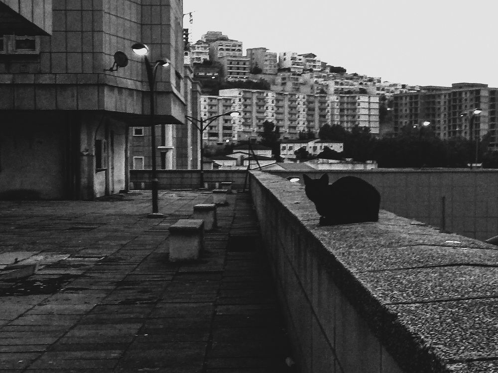 Photograph by Islam Traikia