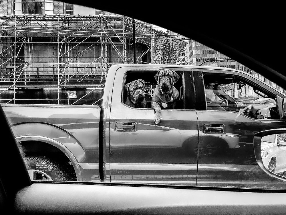 Photograph by Natalia Everatt