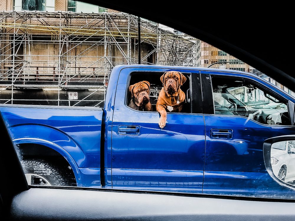 Photograph by Natalia Everatt