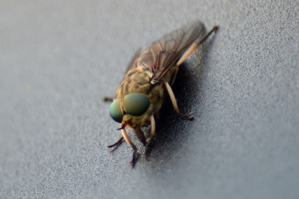 Photograph by Маргарита