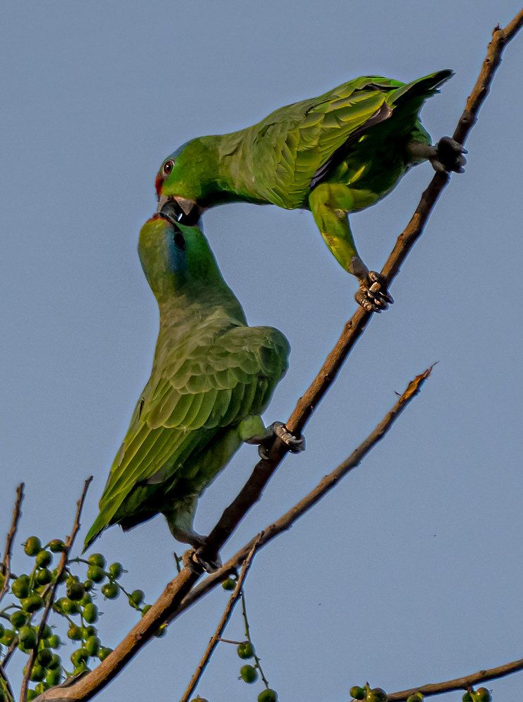 Фотография автора andrey gagarin