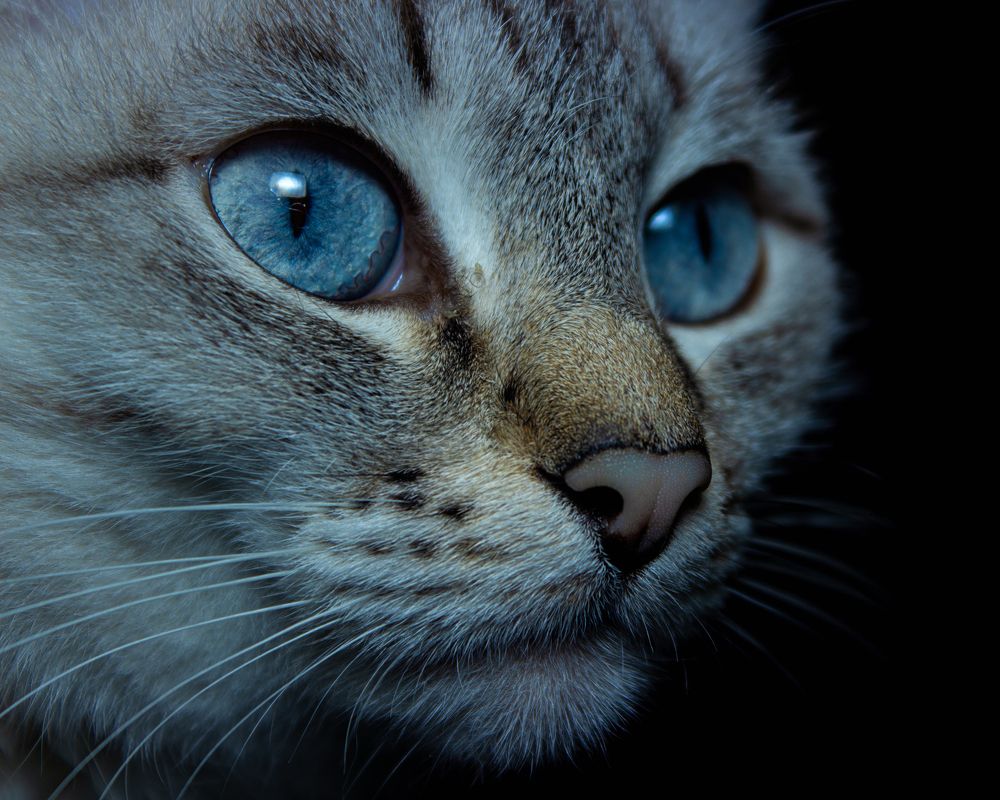 Photograph by Евгения Калугина