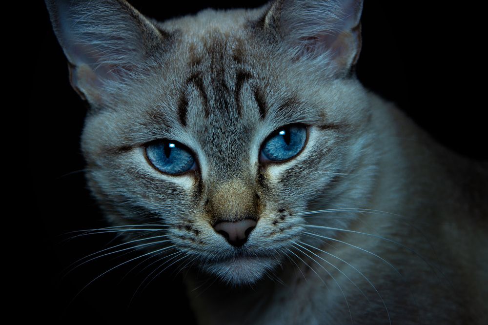 Photograph by Евгения Калугина