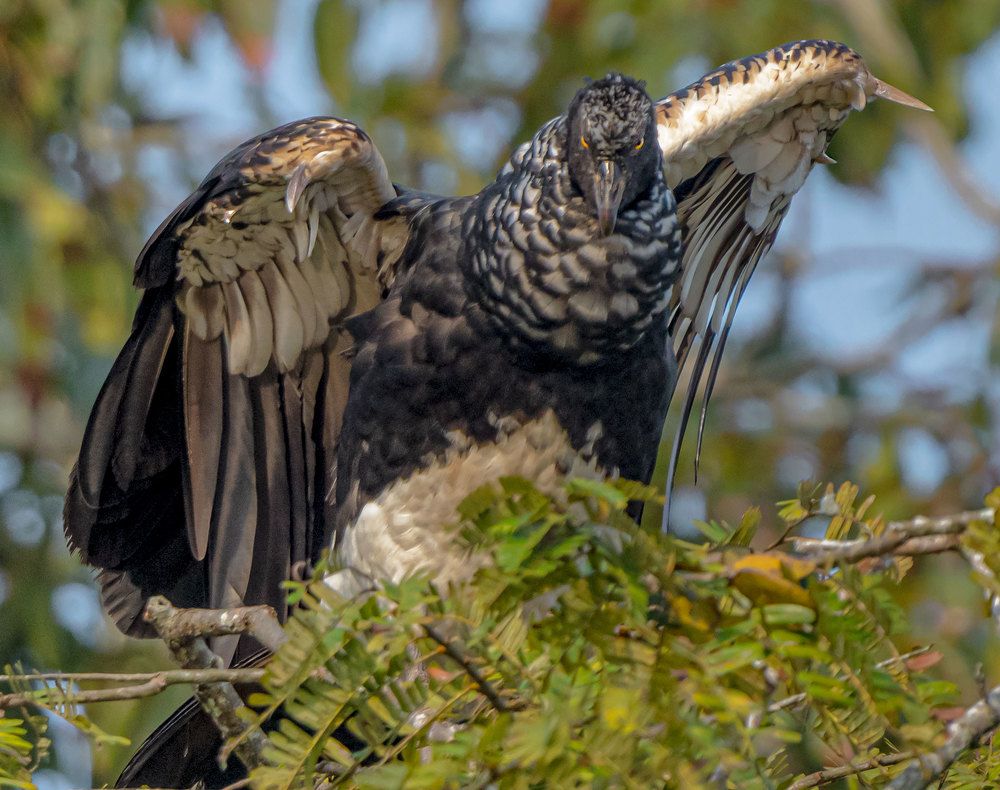 Фотография автора andrey gagarin